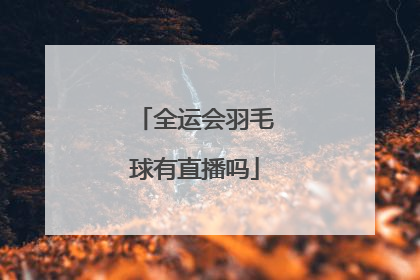 全运会羽毛球有直播吗