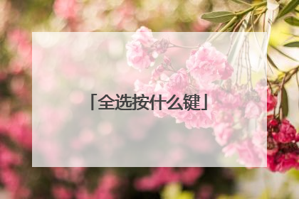 全选按什么键
