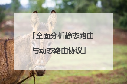 全面分析静态路由与动态路由协议