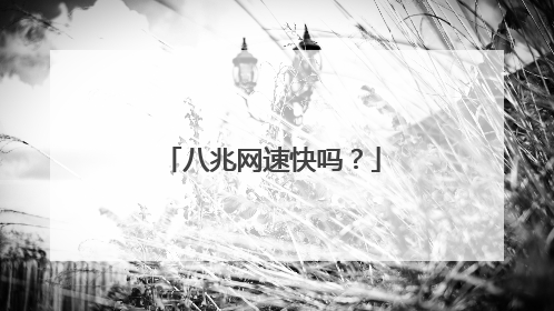 八兆网速快吗？