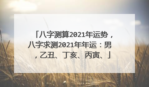 八字测算2021年运势，八字求测2021年年运：男，乙丑、丁亥、丙寅、