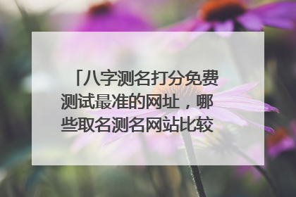 八字测名打分免费测试最准的网址，哪些取名测名网站比较准些,,?