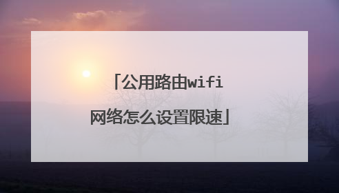 公用路由wifi网络怎么设置限速