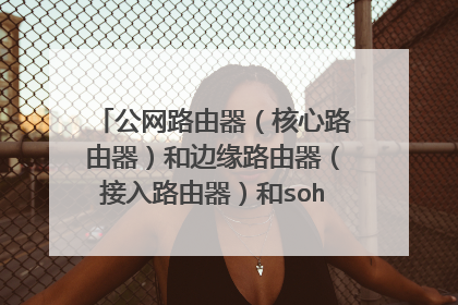 公网路由器（核心路由器）和边缘路由器（接入路由器）和soho路由器（家用路由器）本质区别？