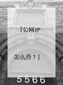 公网IP怎么查？