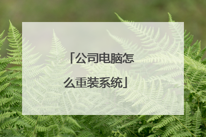 公司电脑怎么重装系统