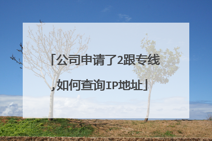 公司申请了2跟专线,如何查询IP地址