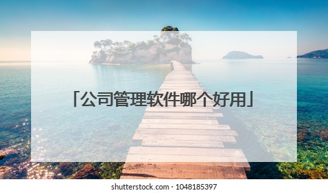 公司管理软件哪个好用