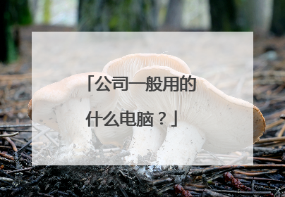 公司一般用的什么电脑？