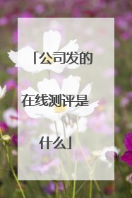 公司发的在线测评是什么
