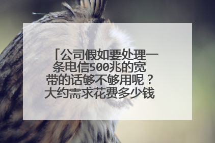 公司假如要处理一条电信500兆的宽带的话够不够用呢?大约需求花费多少钱预备给管帐报账?