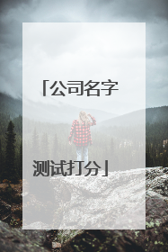 公司名字测试打分