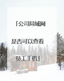 公司局域网是否可以查看员工手机