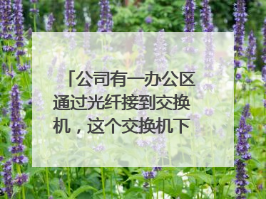 公司有一办公区通过光纤接到交换机，这个交换机下面的网络经常丢包，有时候又会好