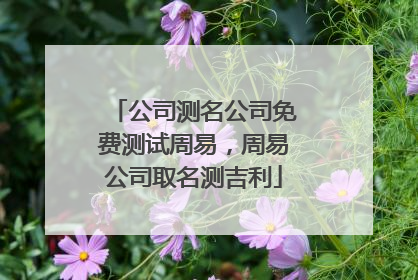 公司测名公司免费测试周易，周易公司取名测吉利
