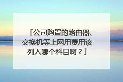 公司购置的路由器、交换机等上网用费用该列入哪个科目啊？