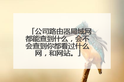 公司路由器局域网都能查到什么，会不会查到你都看过什么网，和网站。
