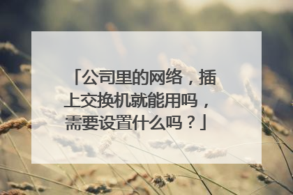 公司里的网络,插上交换机就能用吗,需要设置什么吗?