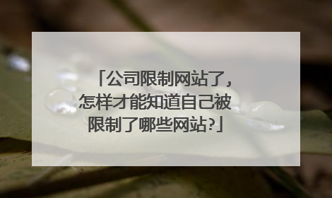 公司限制网站了,怎样才能知道自己被限制了哪些网站?