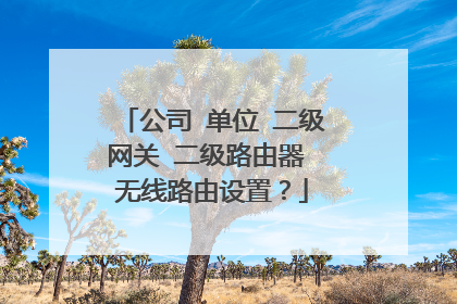公司 单位 二级网关 二级路由器 无线路由设置？