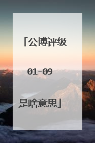 公博评级01-09是啥意思