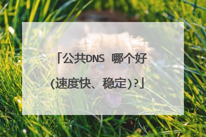 公共DNS 哪个好(速度快、稳定)?