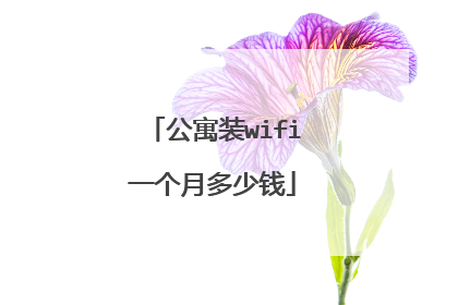 公寓装wifi一个月多少钱