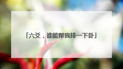 六爻,谁能帮我排一下卦