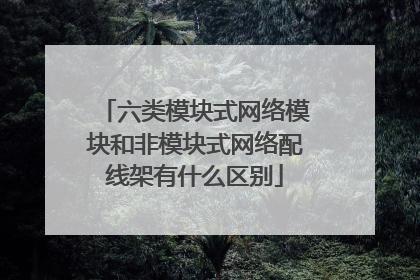 六类模块式网络模块和非模块式网络配线架有什么区别