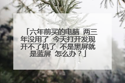 六年前买的电脑 两三年没用了 今天打开发现开不了机了 不是黑屏就是蓝屏 怎么办?