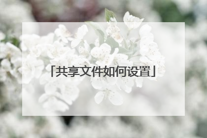 共享文件如何设置