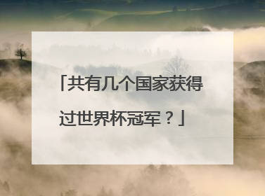 共有几个国家获得过世界杯冠军？