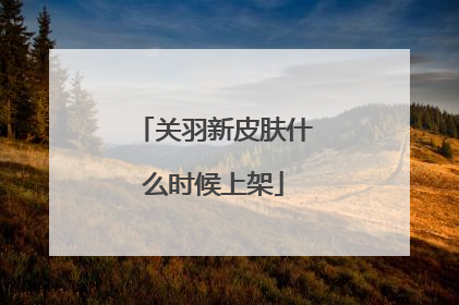 关羽新皮肤什么时候上架