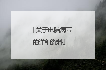 关于电脑病毒的详细资料