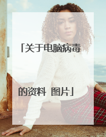 关于电脑病毒的资料 图片