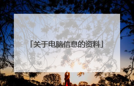 关于电脑信息的资料