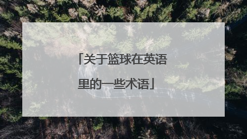 关于篮球在英语里的一些术语