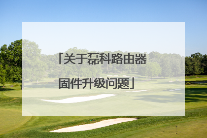 关于磊科路由器固件升级问题