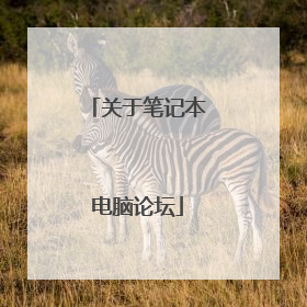 关于笔记本电脑论坛