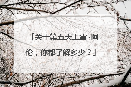 关于第五天王雷·阿伦,你都了解多少?