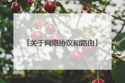 关于网络协议和路由