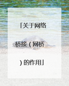 关于网络桥接(网桥)的作用