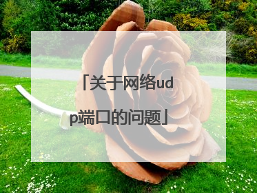 关于网络udp端口的问题
