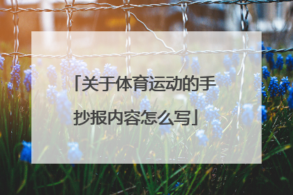 关于体育运动的手抄报内容怎么写