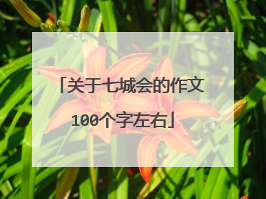 关于七城会的作文100个字左右