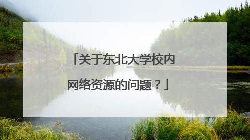 关于东北大学校内网络资源的问题?