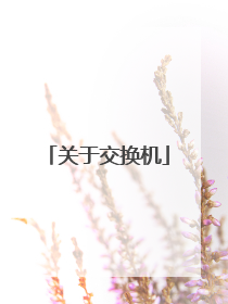 关于交换机