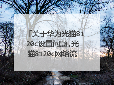 关于华为光猫8120c设置问题,光猫8120c网络流行词设置中有一项