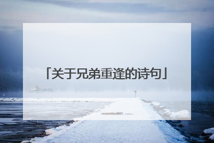 关于兄弟重逢的诗句