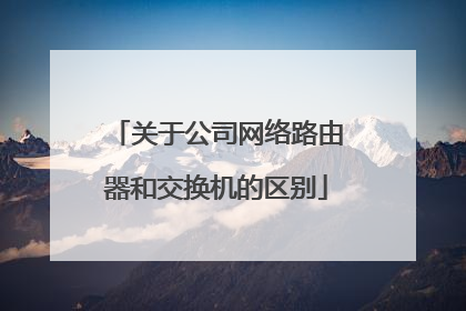 关于公司网络路由器和交换机的区别